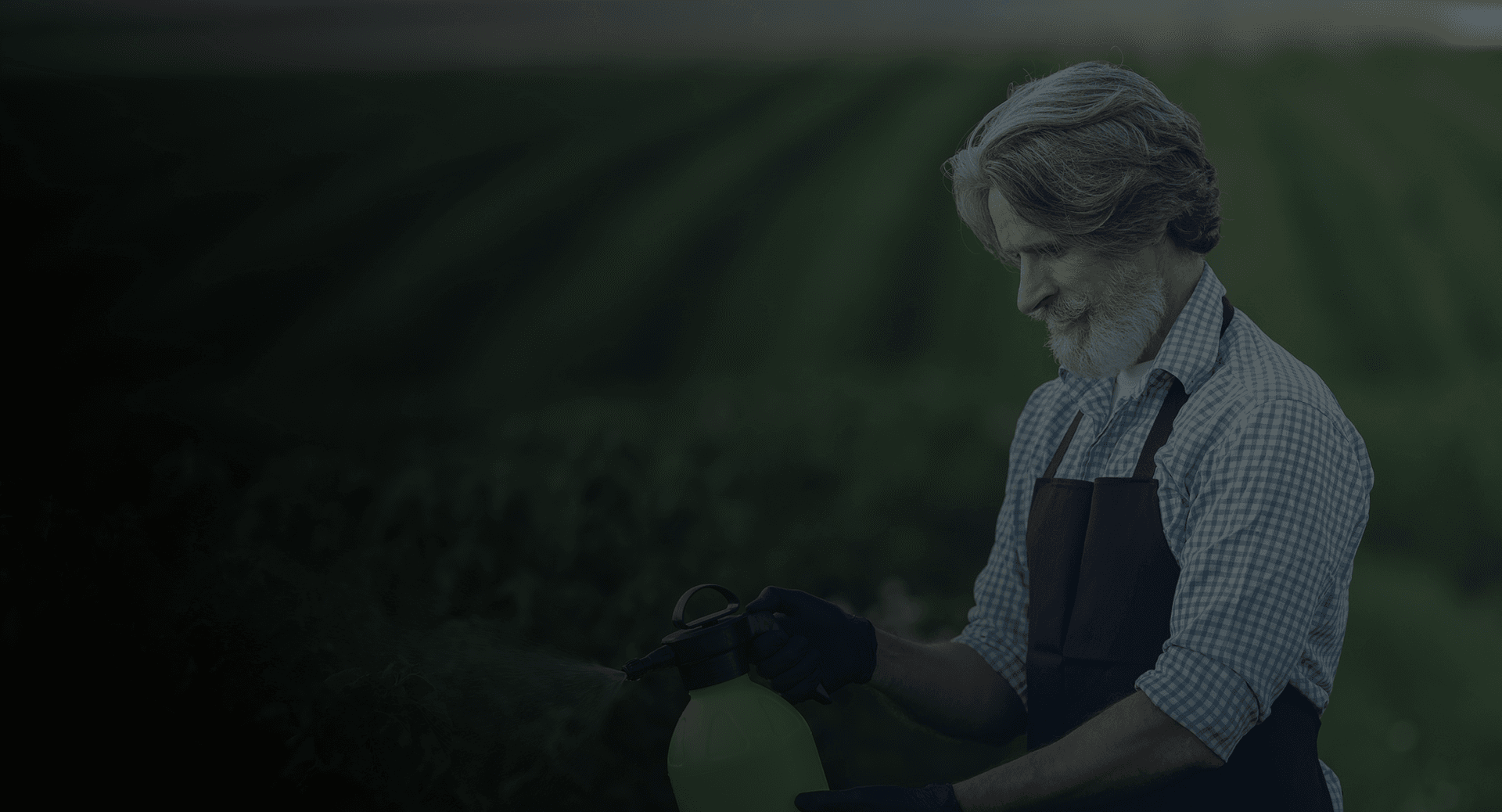 Agrochemical