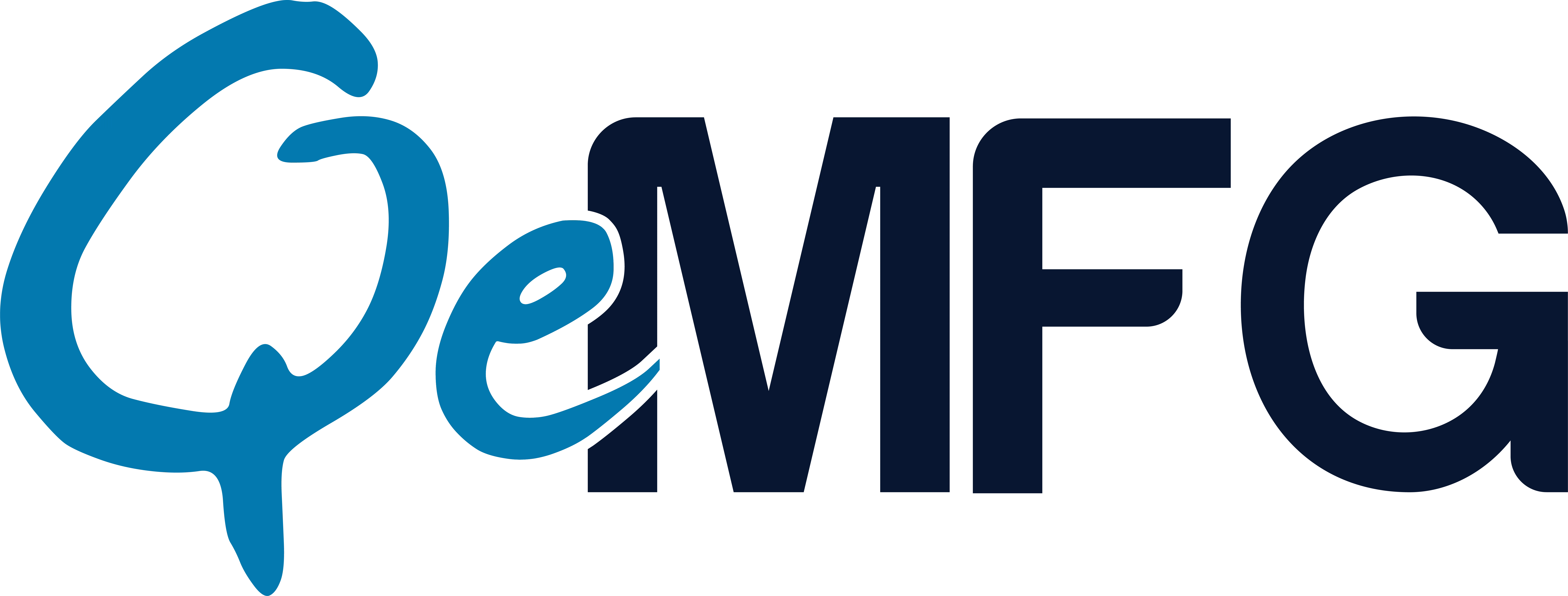 LOGO Qe MFG@2x